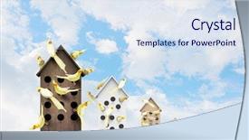  Presentation with apartments - Slide deck consisting of pet hotel - apartments for friendly living background and a  colored foreground