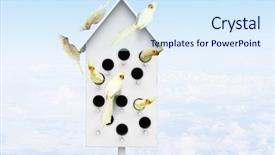  Presentation with apartments - Audience pleasing PPT theme consisting of pet hotel - apartments for friendly living backdrop and a  colored foreground