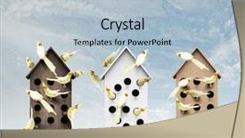  Presentation with apartments - Colorful presentation theme enhanced with pet hotel - apartments for friendly living backdrop and a light blue colored foreground