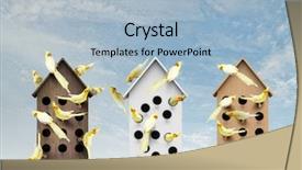  Presentation with apartments - Amazing slides having pet hotel - apartments for friendly living backdrop and a  colored foreground