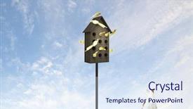  Presentation with apartments - Presentation theme consisting of pet hotel - apartments for friendly living background and a sky blue colored foreground