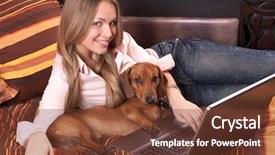  Presentation with dachshund - Cool new PPT theme with pet hotel - girl and a computer backdrop and a tawny brown colored foreground