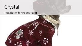  Presentation with 21 years in days - Colorful slides enhanced with pet imaging - chihuahua in winter outfit 7 backdrop and a  colored foreground