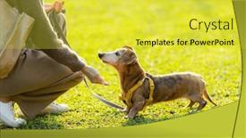  Presentation with dog park - Presentation theme having pet-owner-train background and a yellow colored foreground