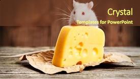  Presentation with pet food - Cool new PPT theme with cartoon food - pet rat with a large backdrop and a tawny brown colored foreground