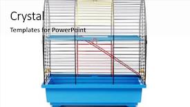  Presentation with cage - Cool new PPT layouts with pet rodent cage isolated backdrop and a white colored foreground