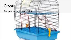  Presentation with cage - Amazing slide set having pet rodent cage isolated backdrop and a light gray colored foreground