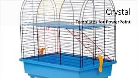  Presentation with rodent - Presentation design consisting of pet rodent cage isolated background and a white colored foreground