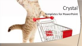  Presentation with shopping - PPT theme having pet shop - cat with shopping cart isolated background and a white colored foreground