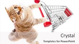  Presentation with cat - Presentation theme featuring pet shop - cat with shopping cart top background and a white colored foreground