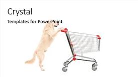  Presentation with pet - PPT theme featuring pet shop - cute dog pushing an empty background and a white colored foreground