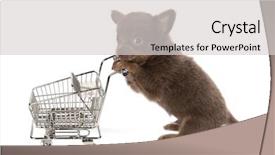  Presentation with shopping trolley - Presentation theme featuring pet shop - funny little chihuahua puppy shopping background and a light gray colored foreground