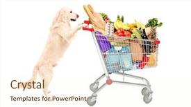  Presentation with pet food - Amazing PPT theme having pet shop - funny retriever dog pushing backdrop and a cream colored foreground