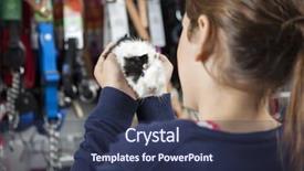  Presentation with guinea pig - Audience pleasing presentation consisting of pet shop - rear view of girl holding backdrop and a  colored foreground