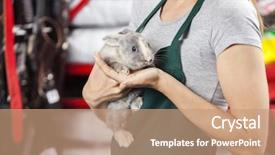  Presentation with rabbit - Beautiful slide deck featuring pet shop - saleswoman holding rabbit at store backdrop and a coral colored foreground