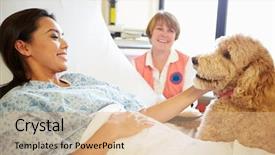  Presentation with therapy dog - Cool new theme with pet therapy dog visiting female backdrop and a coral colored foreground