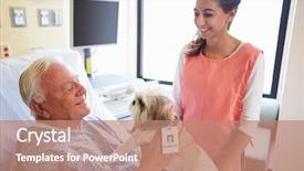  Presentation with therapy dog - Amazing presentation theme having patients theraapies - pet therapy dog visiting senior backdrop and a coral colored foreground