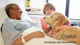  Presentation with therapy dog - PPT theme with sexy slim female legs latex background and a pink colored foreground.