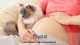  Presentation with pregnant woman - Beautiful theme featuring pet waiting - young pregnant woman sitting backdrop and a coral colored foreground