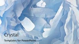  Presentation with blue swoosh abstract design - Cool new presentation theme with petals great background for wedding backdrop and a  colored foreground