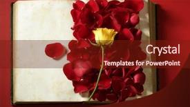  Presentation with old book - Theme enhanced with petals over old aged book background and a tawny brown colored foreground