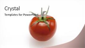  Presentation with tomato - Slide set featuring petides - fresh juicy tomato closeup background and a white colored foreground