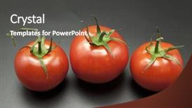  Presentation with black - Cool new PPT layouts with petides - ripe tomatoes on black background backdrop and a dark gray colored foreground