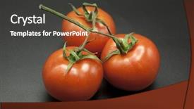  Presentation with black - PPT theme with petides - ripe tomatoes on black background background and a dark gray colored foreground