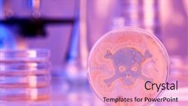  Presentation with petri dish - Theme enhanced with petri dish growing bacteria background and a lemonade colored foreground