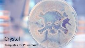  Presentation with petri dish - Theme having petri dish growing bacteria background and a light blue colored foreground