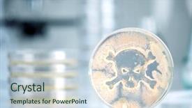  Presentation with petri dish - Amazing PPT theme having petri dish growing bacteria backdrop and a lemonade colored foreground