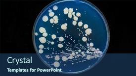  Presentation with petri dish - Presentation design with petri-dish-with-biological-samples background and a ocean colored foreground