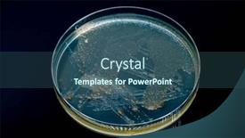  Presentation with petri dish - PPT layouts with petri-dish-with-biological-samples background and a ocean colored foreground