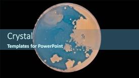  Presentation with laboratory microbiology - Theme with petri-dish-with-colonies background and a ocean colored foreground