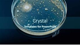  Presentation with bacteria colonies - Presentation design with petri-dish-with-colonies background and a ocean colored foreground