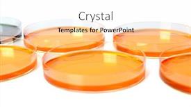  Presentation with petri dish - Audience pleasing PPT theme consisting of petri-dish-with-cultivating-liquids backdrop and a white colored foreground