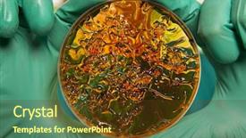  Presentation with cells - Amazing slide set having petri dish with virus backdrop and a tawny brown colored foreground