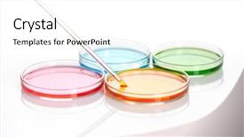  Presentation with petri dish - PPT layouts featuring petri dishes with a colored background and a white colored foreground