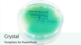  Presentation with white plate - Cool new presentation with petri plate with bacteria pseudomonas backdrop and a arctic colored foreground