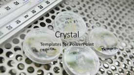  Presentation with lab - Audience pleasing presentation theme consisting of petridish - leaves in petri dishes backdrop and a light gray colored foreground