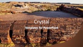  Presentation with arizona - PPT layouts featuring petrified-ancient-tree background and a tawny brown colored foreground