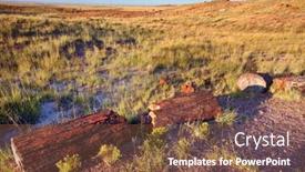  Presentation with arizona - Audience pleasing slide deck consisting of petrified-ancient-tree backdrop and a tawny brown colored foreground