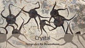  Presentation with fossil - Presentation design featuring petrified fossil starfishes in stone background and a mint green colored foreground