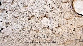  Presentation with green algae - Amazing slide deck having petrified-fossil-stromatolite-cyanobacteria-blue backdrop and a soft green colored foreground