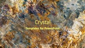  Presentation with wood texture - Colorful PPT layouts enhanced with petrified-tree-trunk-cross-section backdrop and a tawny brown colored foreground