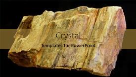  Presentation with fossils petrified fossil shells - Beautiful slide deck featuring petrified-wood-unknown-origin backdrop and a gold colored foreground