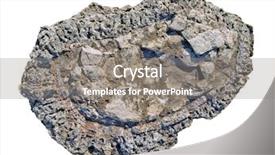  Presentation with tree - Audience pleasing theme consisting of petrogas - petrified tree on white background backdrop and a  colored foreground