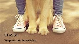  Presentation with street - Amazing PPT theme having pets - boy and his dog backdrop and a coral colored foreground
