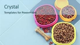  Presentation with pet food - Slide deck having pets - pet food in bowls background and a sky blue colored foreground