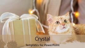  Presentation with pets - Amazing slide deck having pets christmas and hygge concept backdrop and a  colored foreground